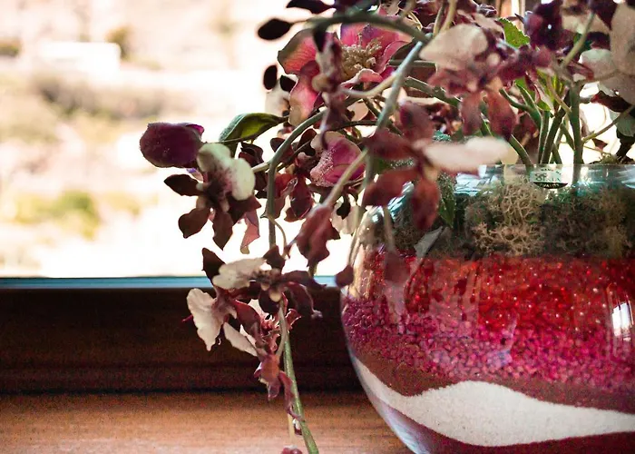 Appartement Grazia *